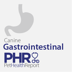 Disease Gastrointestinal