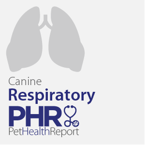 Disease Respiratory